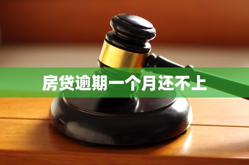 房贷逾期一个月还不上