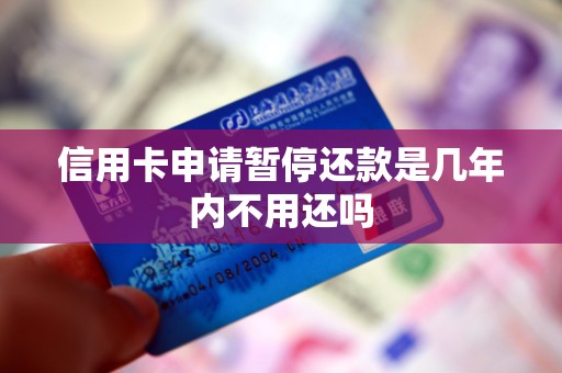 信用卡申请暂停还款是几年内不用还吗