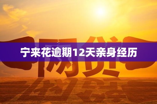 宁来花逾期12天亲身经历