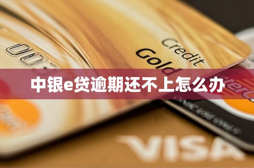 中银e贷逾期还不上怎么办 中银e贷逾期还不上怎么办