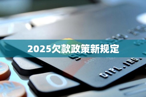 2025欠款政策新规定