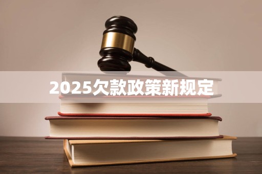 2025欠款政策新规定