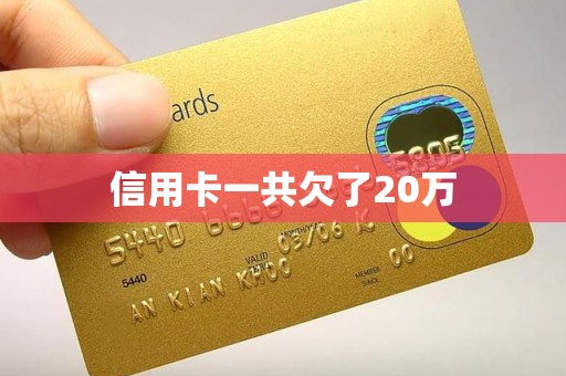 信用卡一共欠了20万