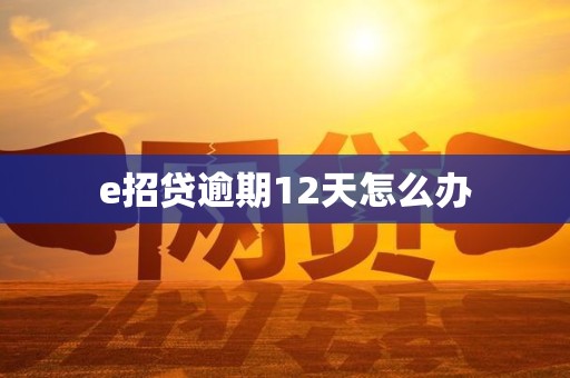 e招贷逾期12天怎么办