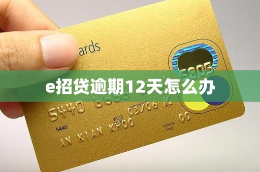 e招贷逾期12天怎么办