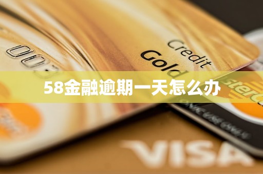 58金融逾期一天怎么办 58金融逾期一天怎么办