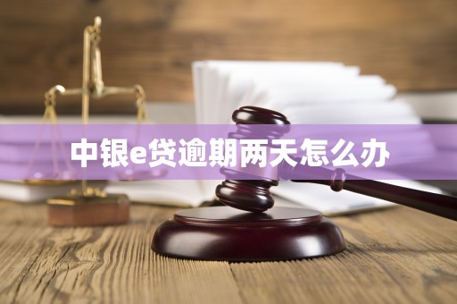 中银e贷逾期两天怎么办