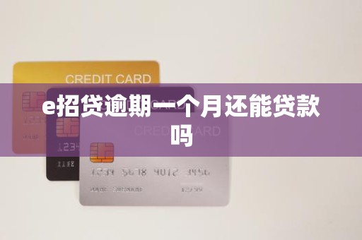e招贷逾期一个月还能贷款吗 e招贷逾期一个月还能贷款吗