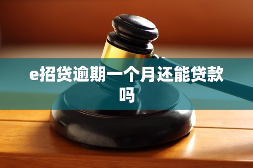 e招贷逾期一个月还能贷款吗 e招贷逾期一个月还能贷款吗