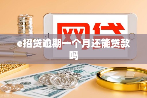 e招贷逾期一个月还能贷款吗 e招贷逾期一个月还能贷款吗