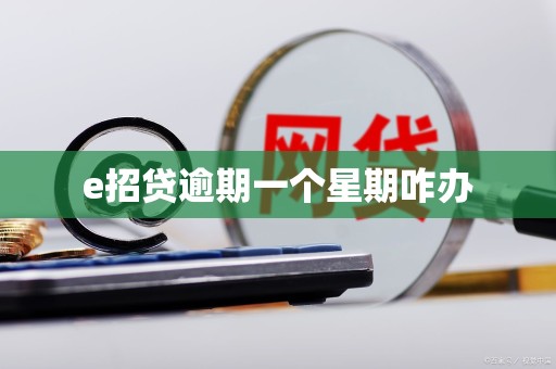 e招贷逾期一个星期咋办