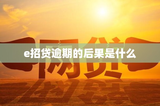 e招贷逾期的后果是什么