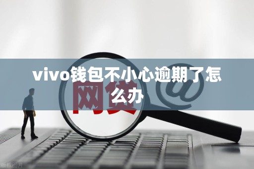 vivo钱包不小心逾期了怎么办 vivo钱包不小心逾期了怎么办