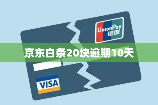 京东白条20块逾期10天 京东白条20块逾期10天