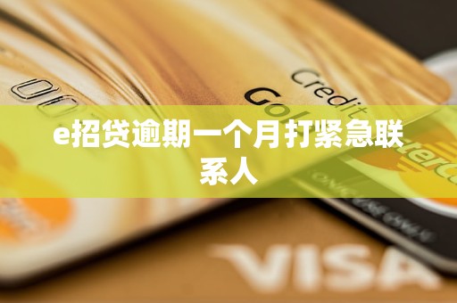 e招贷逾期一个月打紧急联系人