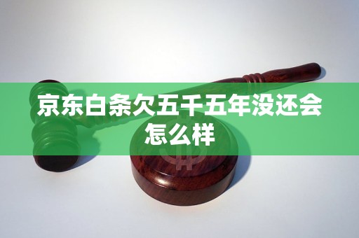 京东白条欠五千五年没还会怎么样