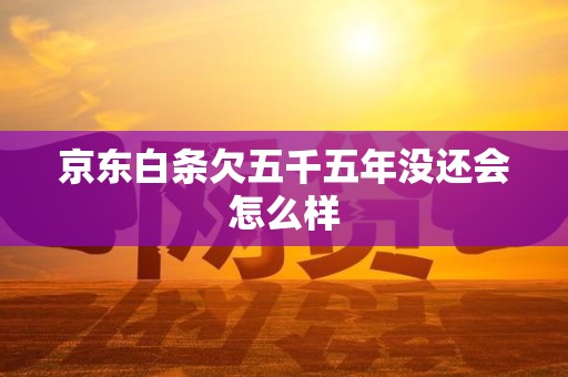 京东白条欠五千五年没还会怎么样