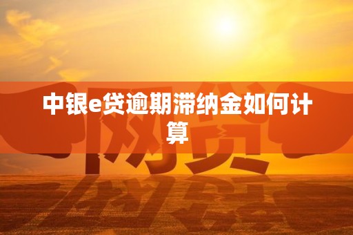 中银e贷逾期滞纳金如何计算 中银e贷逾期滞纳金如何计算