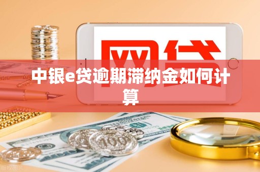 中银e贷逾期滞纳金如何计算 中银e贷逾期滞纳金如何计算