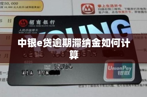 中银e贷逾期滞纳金如何计算 中银e贷逾期滞纳金如何计算