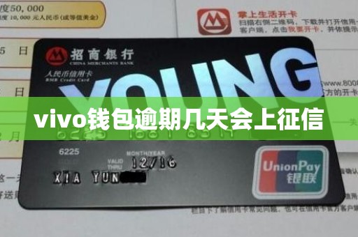 vivo钱包逾期几天会上征信