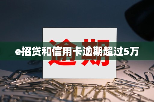 e招贷和信用卡逾期超过5万