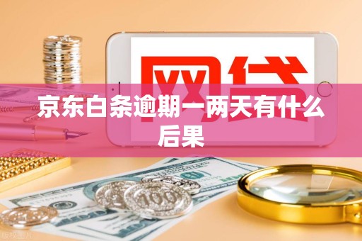 京东白条逾期一两天有什么后果 京东白条逾期一两天有什么后果