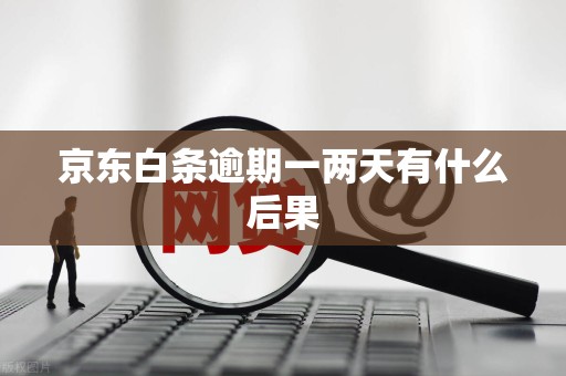 京东白条逾期一两天有什么后果 京东白条逾期一两天有什么后果
