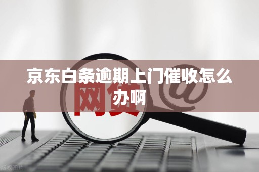 京东白条逾期上门催收怎么办啊