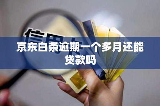 京东白条逾期一个多月还能贷款吗 京东白条逾期一个多月还能贷款吗