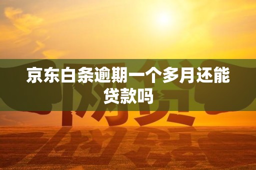 京东白条逾期一个多月还能贷款吗 京东白条逾期一个多月还能贷款吗