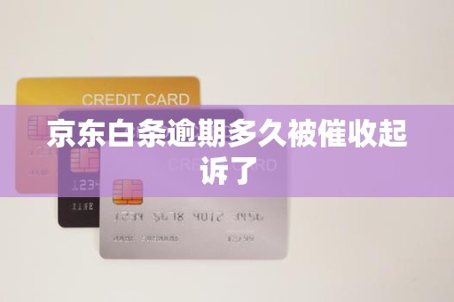 京东白条逾期多久被催收起诉了