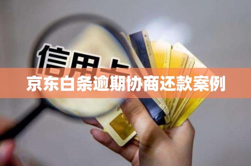 京东白条逾期协商还款案例 京东白条逾期协商还款案例