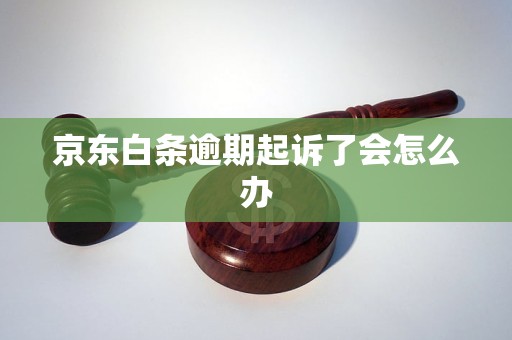 京东白条逾期起诉了会怎么办