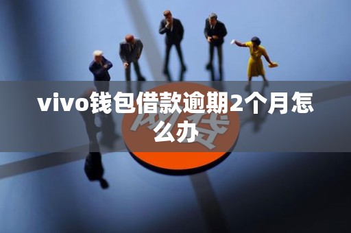 vivo钱包借款逾期2个月怎么办 vivo钱包借款逾期2个月怎么办