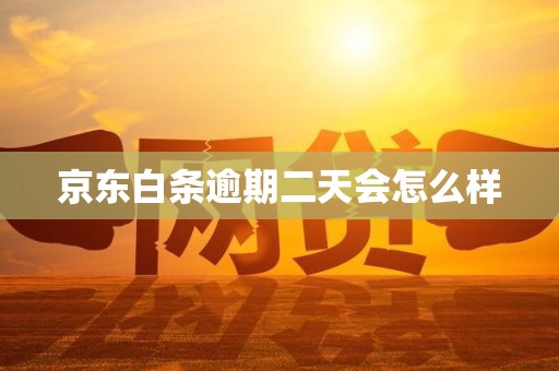 京东白条逾期二天会怎么样 京东白条逾期二天会怎么样