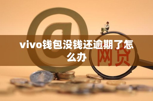 vivo钱包没钱还逾期了怎么办 vivo钱包没钱还逾期了怎么办