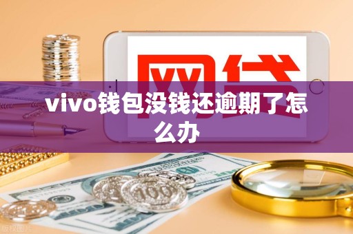vivo钱包没钱还逾期了怎么办 vivo钱包没钱还逾期了怎么办