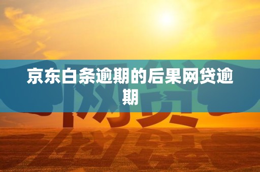 京东白条逾期的后果网贷逾期