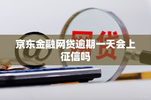 京东金融网贷逾期一天会上征信吗