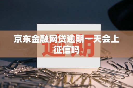 京东金融网贷逾期一天会上征信吗