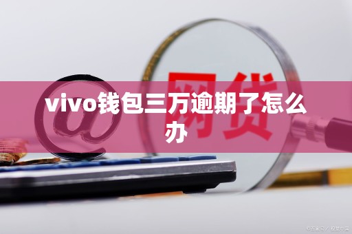 vivo钱包三万逾期了怎么办