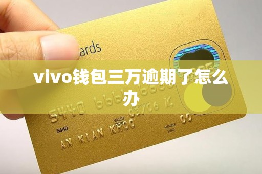 vivo钱包三万逾期了怎么办