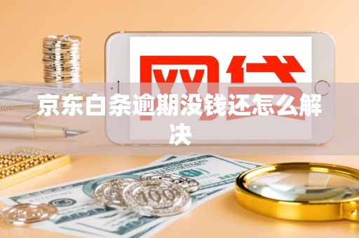 京东白条逾期没钱还怎么解决