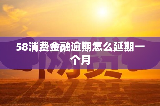 58消费金融逾期怎么延期一个月 58消费金融逾期怎么延期一个月