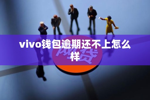vivo钱包逾期还不上怎么样