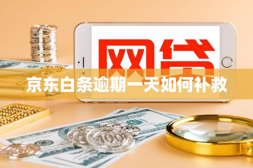 京东白条逾期一天如何补救
