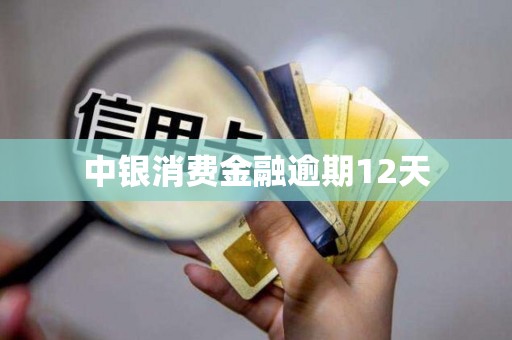 中银消费金融逾期12天 中银消费金融逾期12天