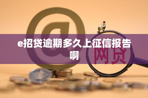 e招贷逾期多久上征信报告啊