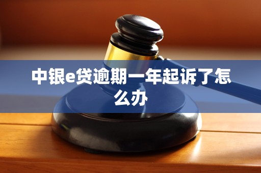 中银e贷逾期一年起诉了怎么办